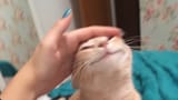 Dtnfzz5W4AAKkv7