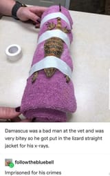 FB_IMG_1618095383955
