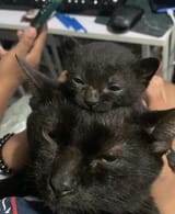 GgrtMbeWUAAhwGJ