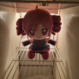 teto fridge