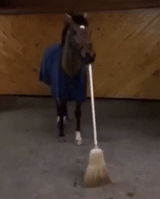 horsesweep