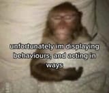 compulsions
