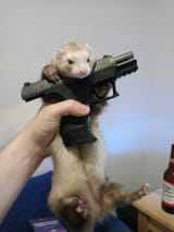 asdsadadsa