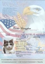 Cat-Passport-Example-3