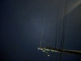 Thread 40493293 OP Image