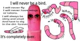 Thread 40494109 OP Image