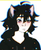 Thread 40494585 OP Image