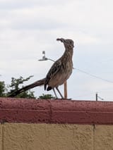 PXL_20250724_173325287