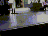 undefined - Imgur