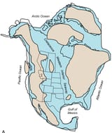 Estimated-position-of-Western-Interior-Seaway-shorelines-during-the-deposition-of-the
