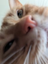 1744459846968056