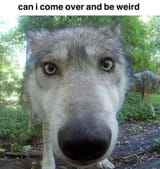 GcEEJxVW0AAHLja