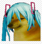 Thread 40507693 OP Image
