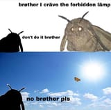 forbidden lamp