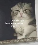 6786