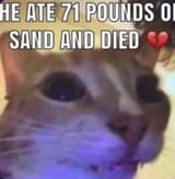 71poundsofsand