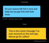 gay