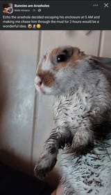 IMG_20250730_001047