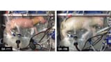 downloadfile-4