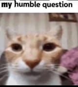 1000053545