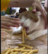 511373486_1371585794345487_8381612033235460175_n