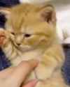 qDEKwpInnHAP2CIn_thumb.jpg