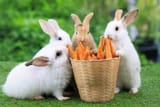shutterstock-2178576313-huge-licensed-scaled