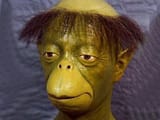 kapo