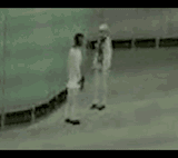 dancingscientist