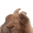 1691728859889683