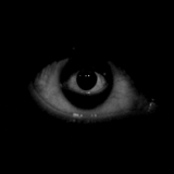 d6f1f30624debf296f9c19771ee45b70