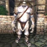 600px-OB-creature-Ogre