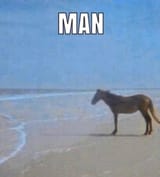 man-horse-meme-2