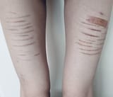 Thread 40587559 OP Image