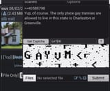 2025-08-02 23_16_03-(175) _b_ - s_fur - Random - 4chan — Waterfox