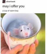 a_cup_of_warm_boy
