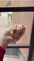 1742214654280437_thumb.jpg