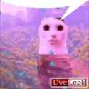 kockavtip-situation_thumb.jpg