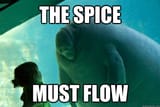 spice