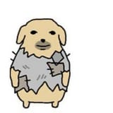 Thread 40599922 OP Image