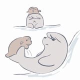 seal