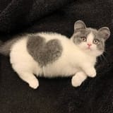 FiTyowfXwAAqKMv