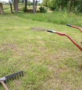 IMG_20250804_131021 (1)