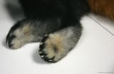 Timursrealfeet