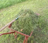 IMG_20250804_150625 (1)