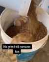 1751972664101_thumb.jpg