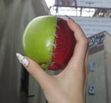 IMG_7033