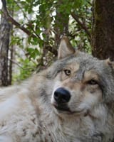 IMG_6496