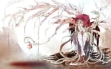 Thread 40620244 OP Image