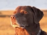 GvhxAvMWgAAilU4